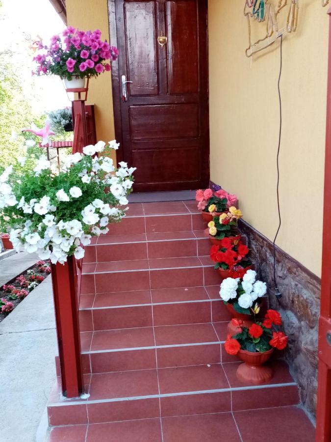 Casa Voica Apartment Turda Luaran gambar